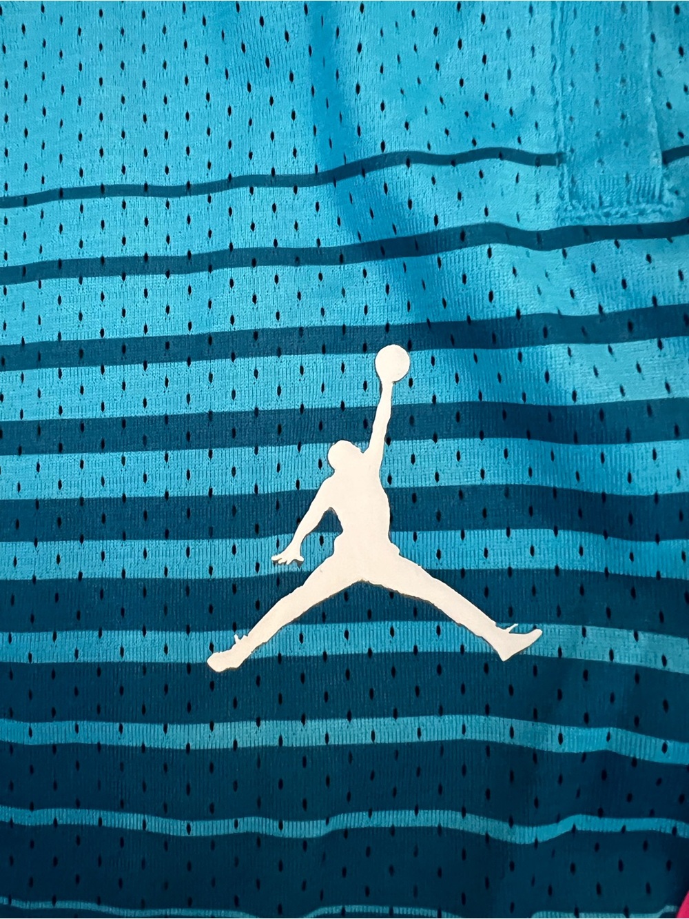 Jordan shorts - Picture 8 of 8